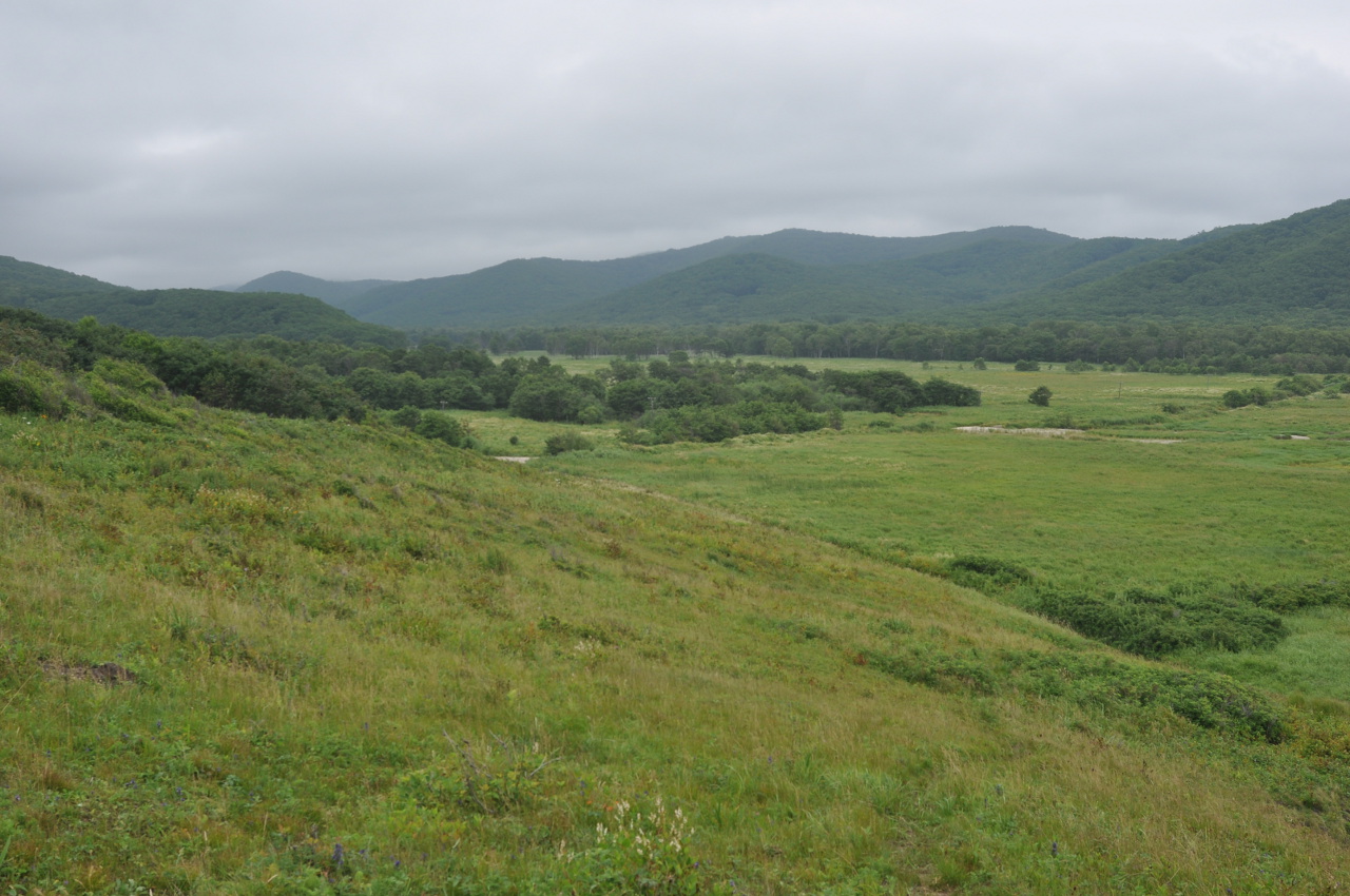 Бухта Русская, image of landscape/habitat.