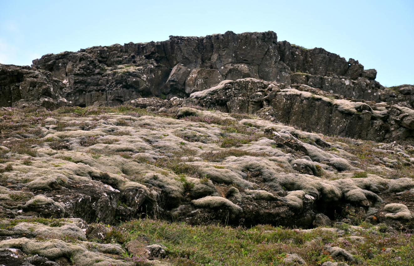 Тингведлир, image of landscape/habitat.