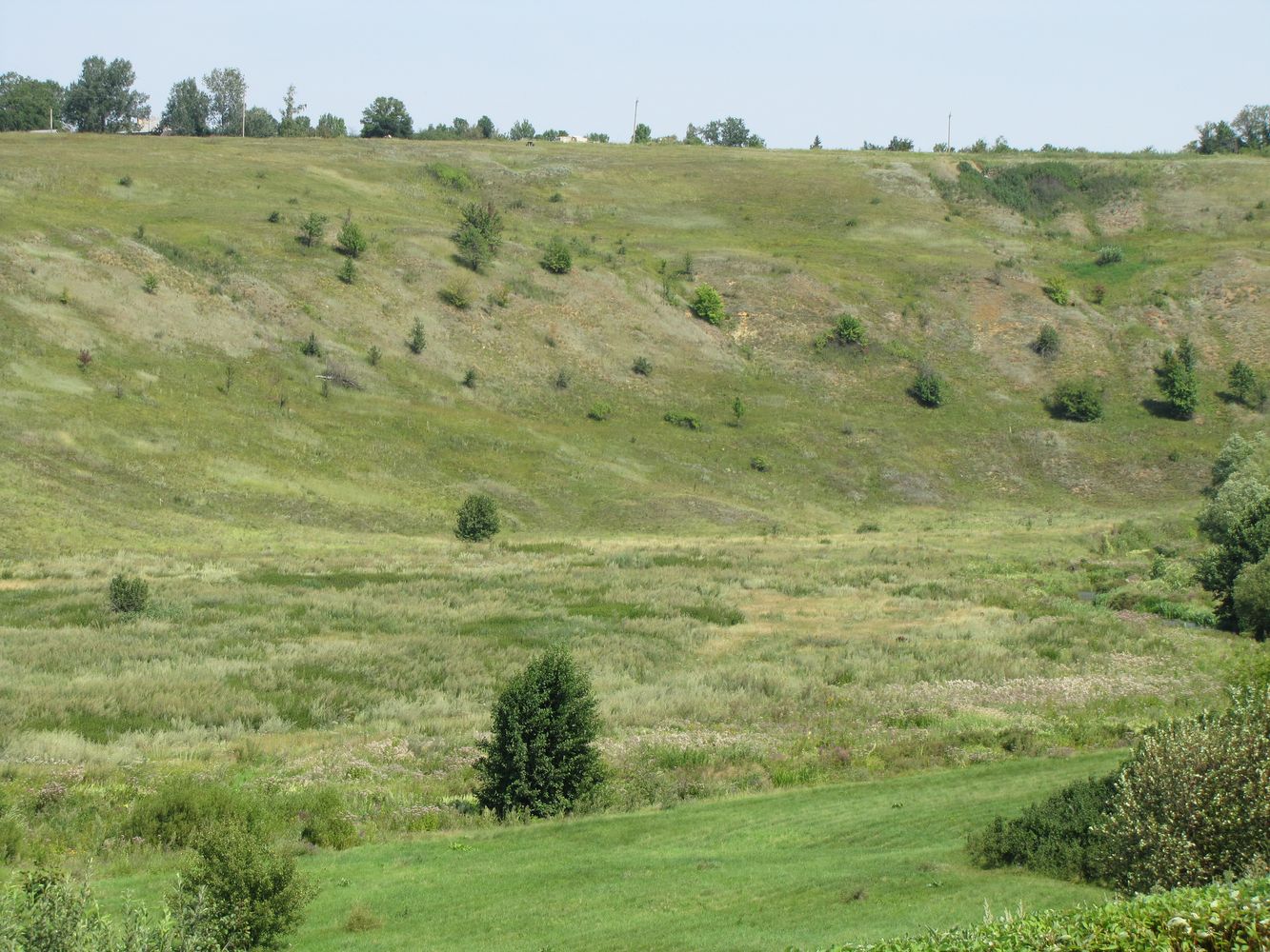 Каменка, image of landscape/habitat.