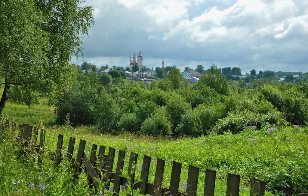 Тотьма, image of landscape/habitat.