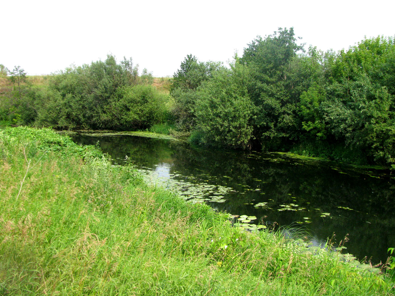 Кудьма, image of landscape/habitat.