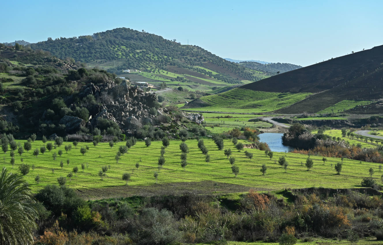 Окрестности города Ваззан, image of landscape/habitat.