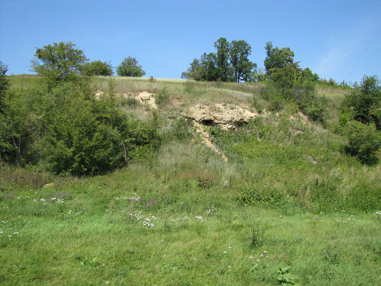 Каменка, image of landscape/habitat.