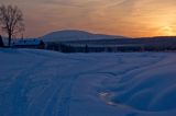 Окрестности поселка Велс, image of landscape/habitat.