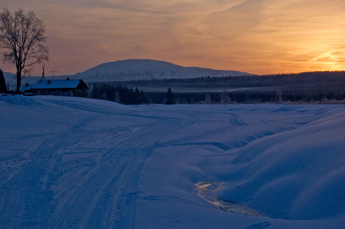 Окрестности поселка Велс, image of landscape/habitat.