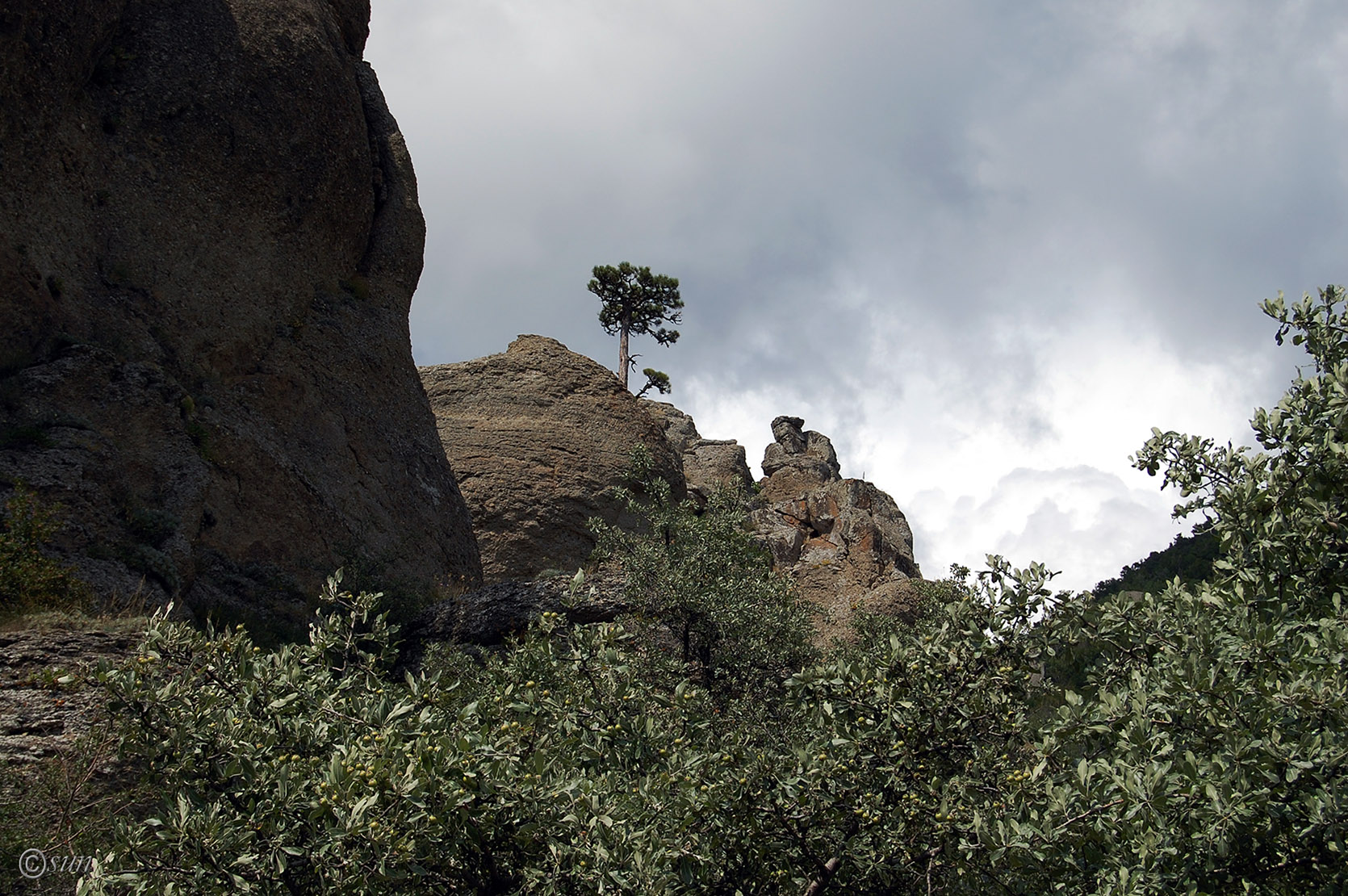 Южная Демерджи, image of landscape/habitat.