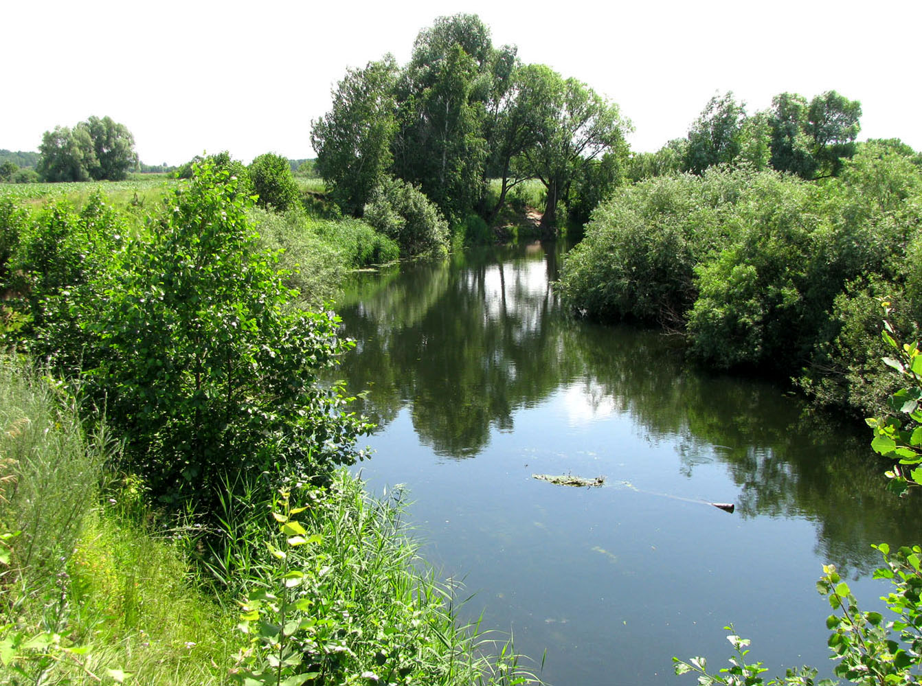 Кудьма, image of landscape/habitat.