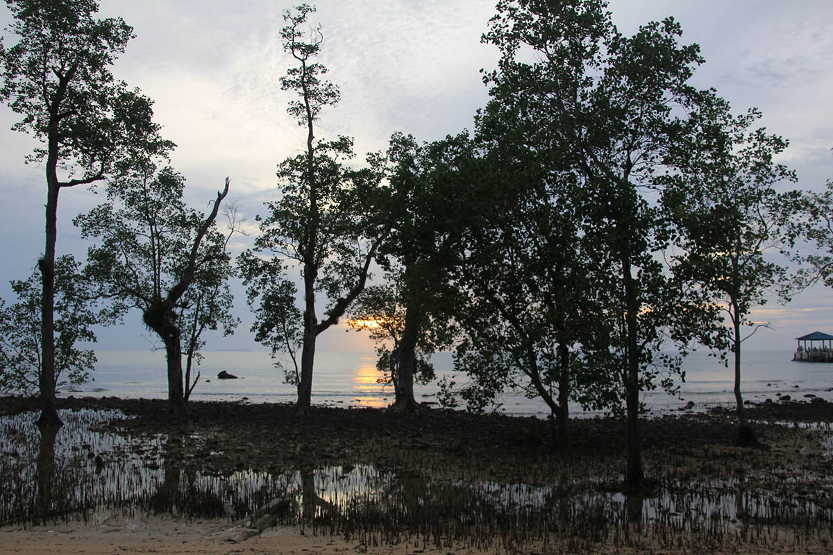 Остров Тиоман, image of landscape/habitat.