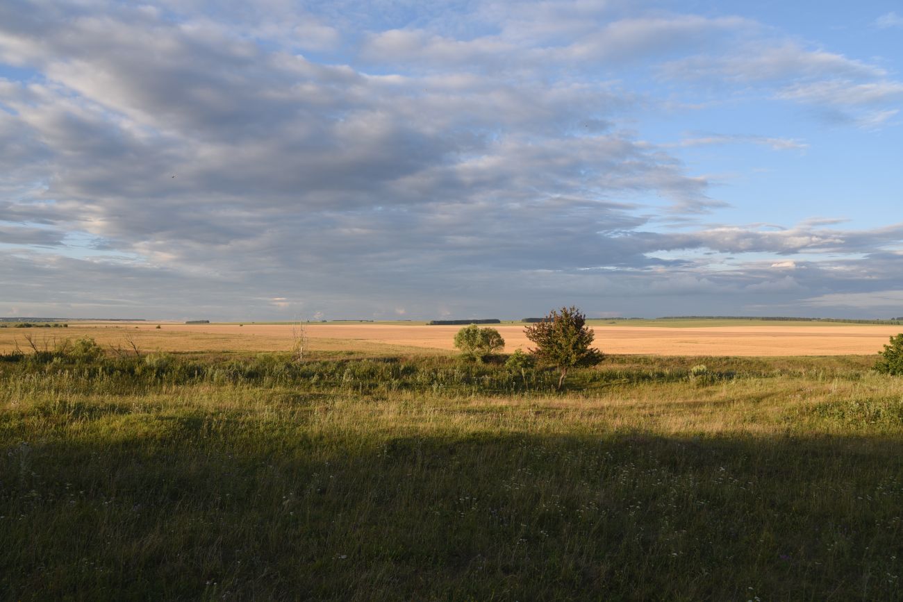 Масловка, image of landscape/habitat.