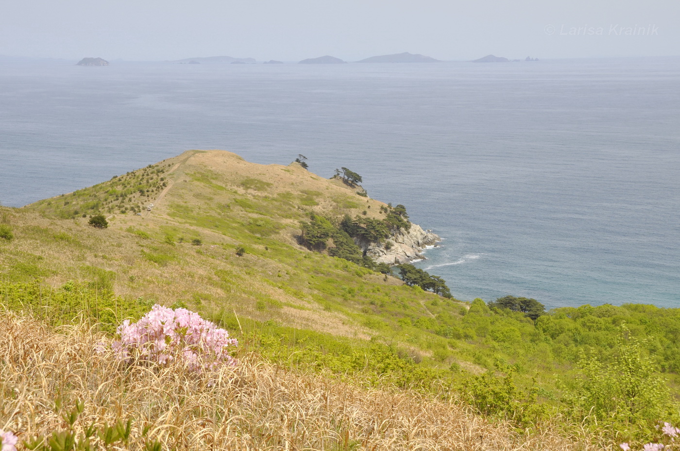 Полуостров Гамова, image of landscape/habitat.