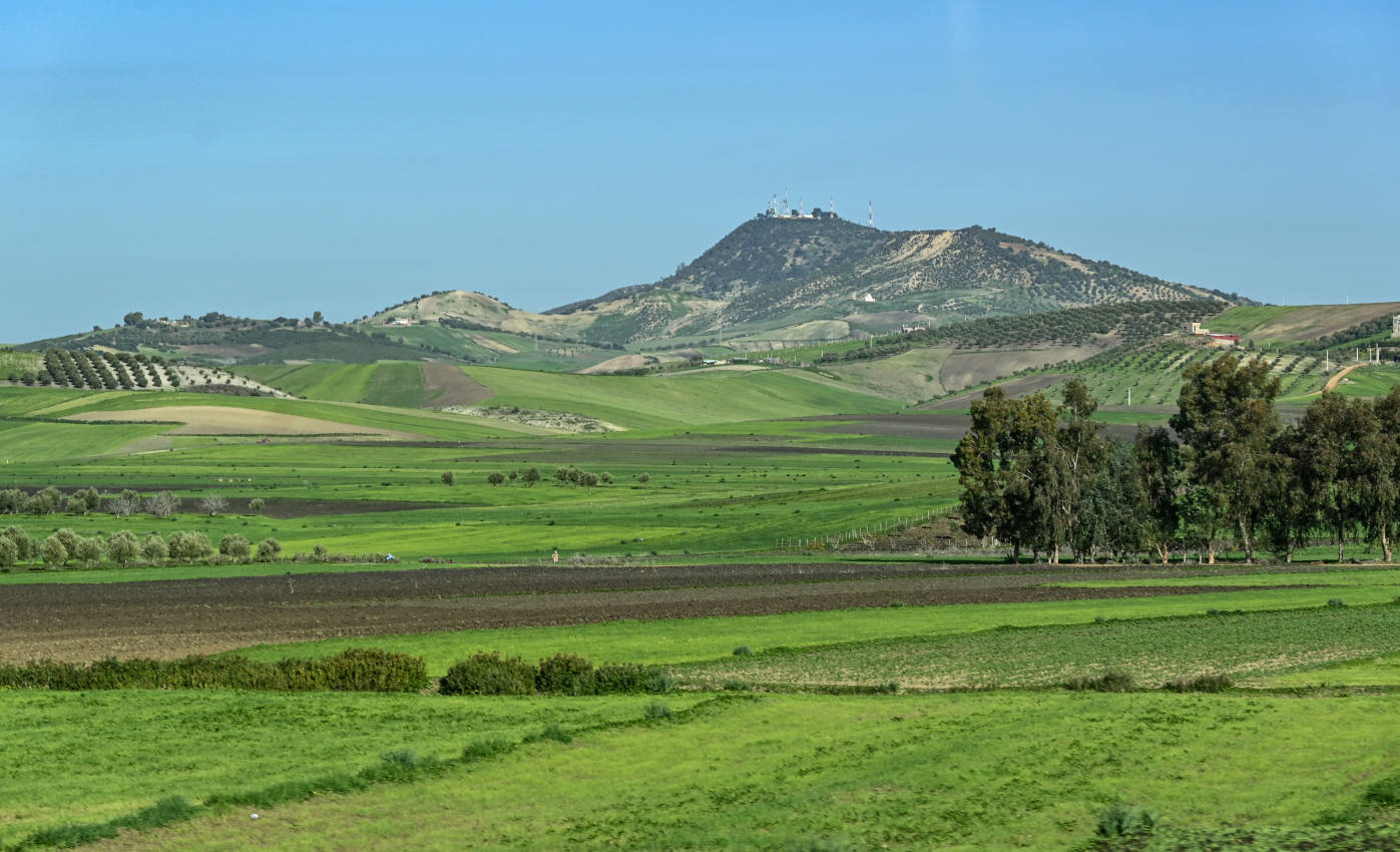 Сук-эль-Арбаа-эль-Гарб, image of landscape/habitat.