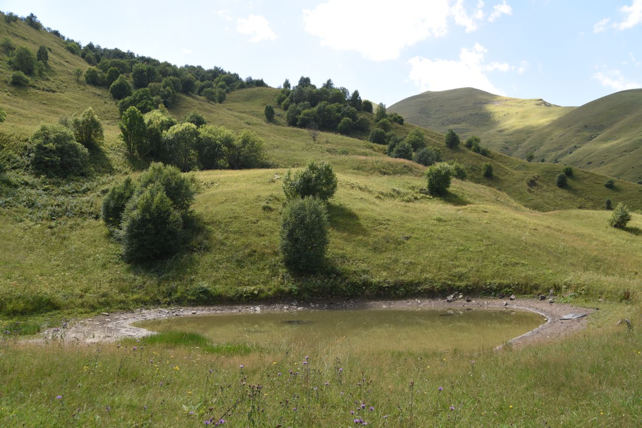 Урочище Хилиди, image of landscape/habitat.