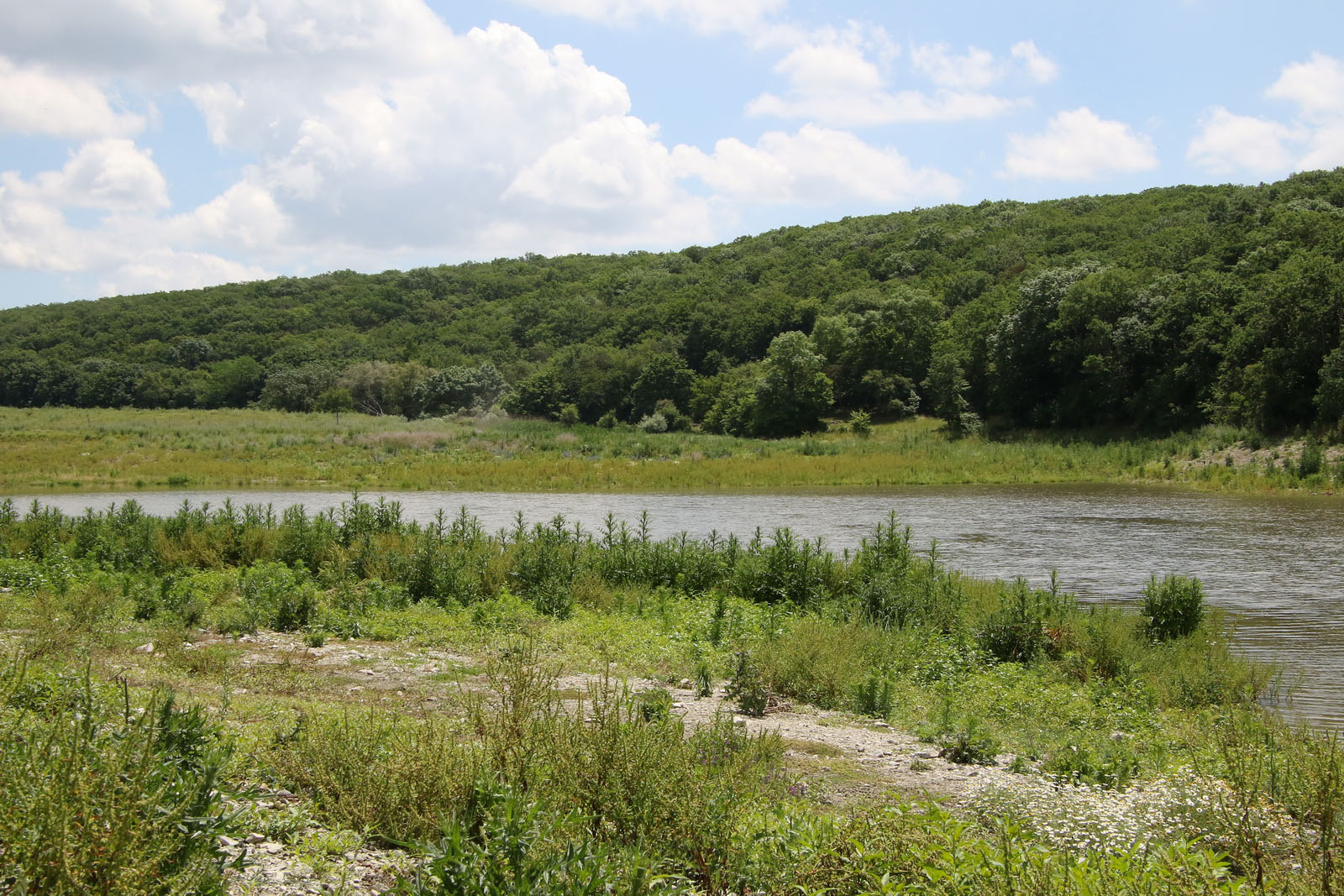 Куматырь, image of landscape/habitat.