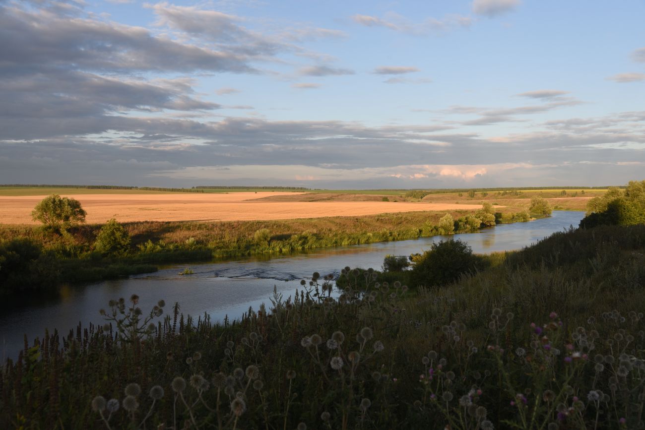 Масловка, image of landscape/habitat.