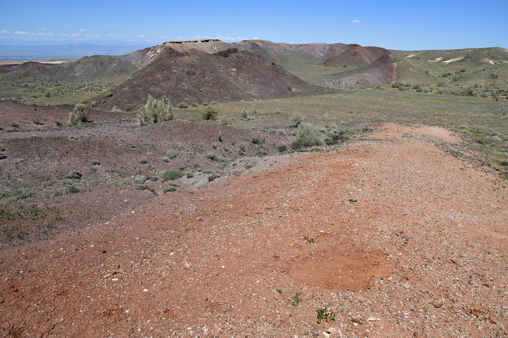 Горы Улькен-Богуты, image of landscape/habitat.