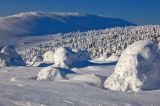 Окрестности поселка Велс, изображение ландшафта.