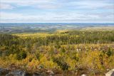 Воттоваара, image of landscape/habitat.