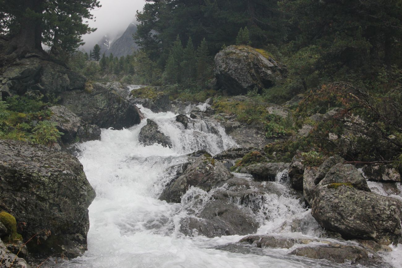 Долина реки Куйгук, image of landscape/habitat.