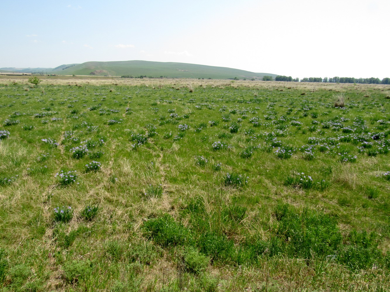 Кавказский Бор, image of landscape/habitat.