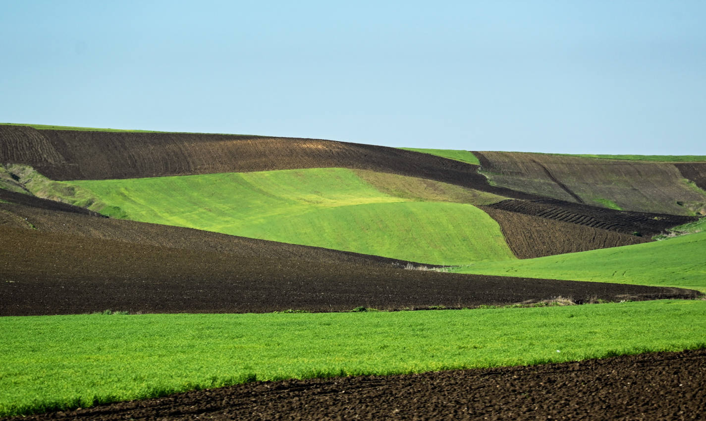 Сук-эль-Арбаа-эль-Гарб, image of landscape/habitat.