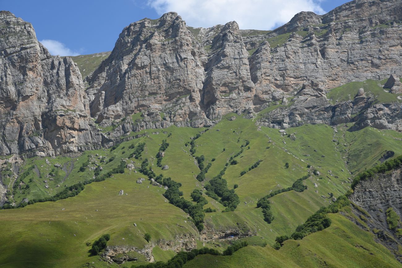 Урочище Хилиди, image of landscape/habitat.