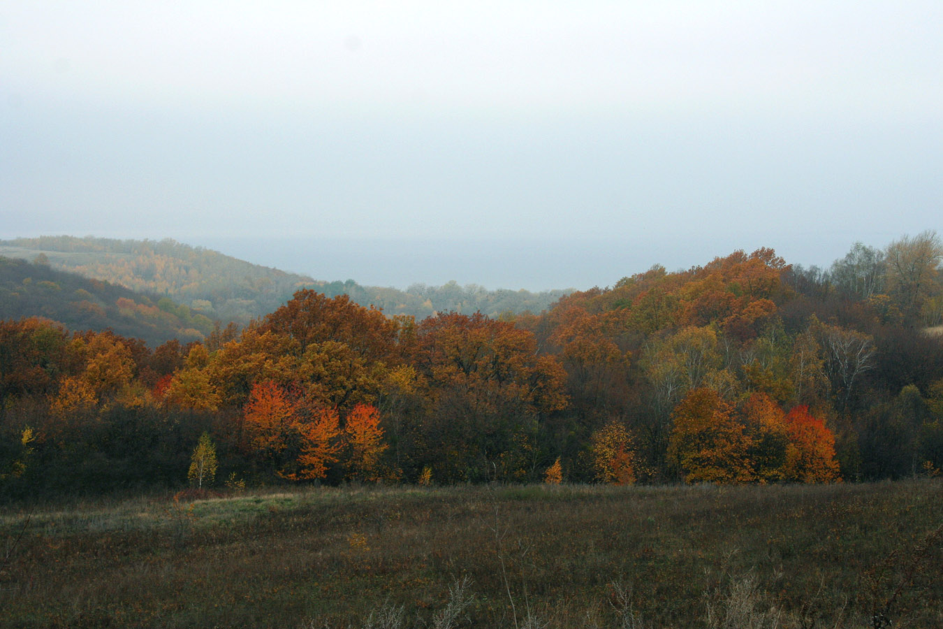 Трахтемиров, image of landscape/habitat.