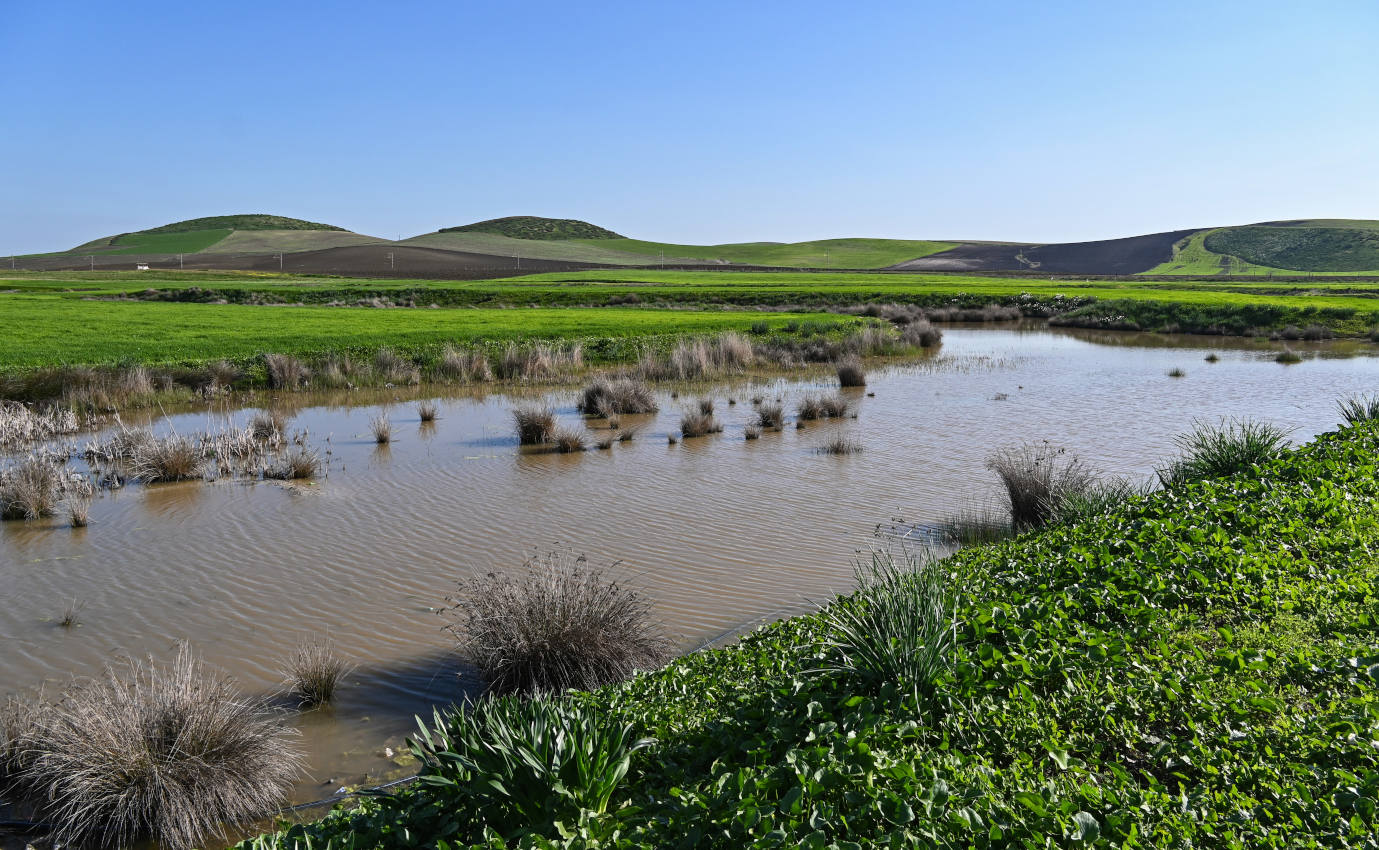 Сук-эль-Арбаа-эль-Гарб, image of landscape/habitat.