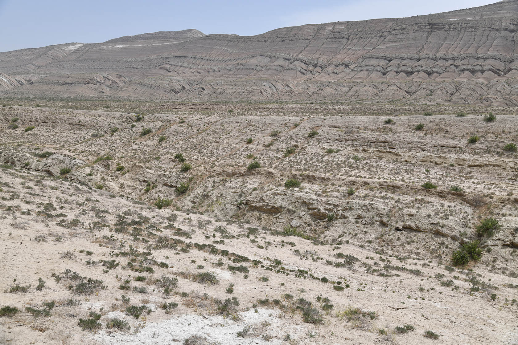 Окбель, image of landscape/habitat.