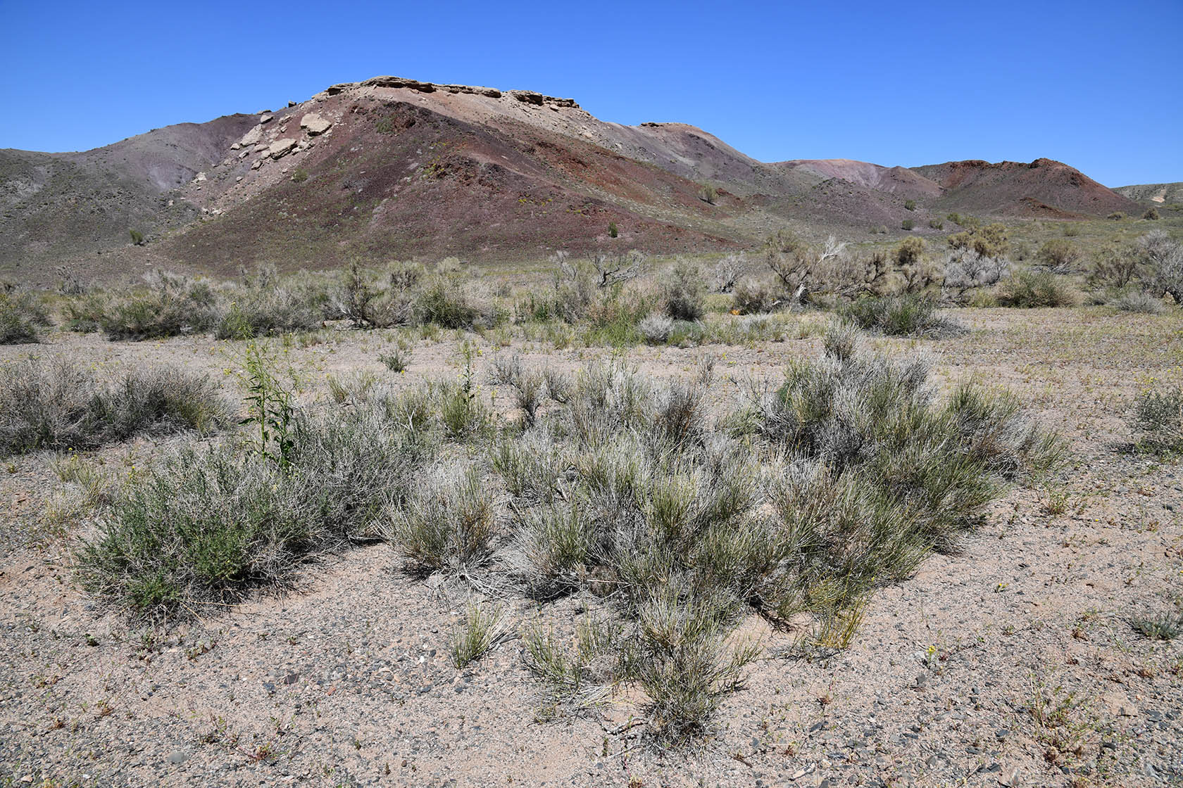Горы Улькен-Богуты, image of landscape/habitat.