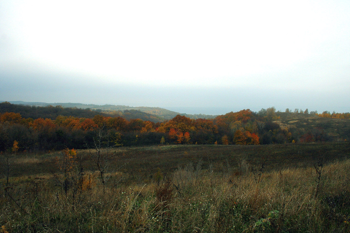 Трахтемиров, image of landscape/habitat.