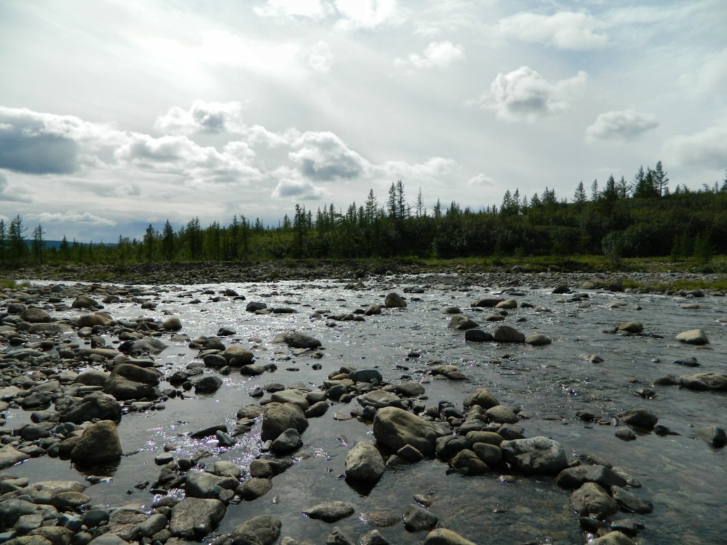 Труба-Ю, image of landscape/habitat.