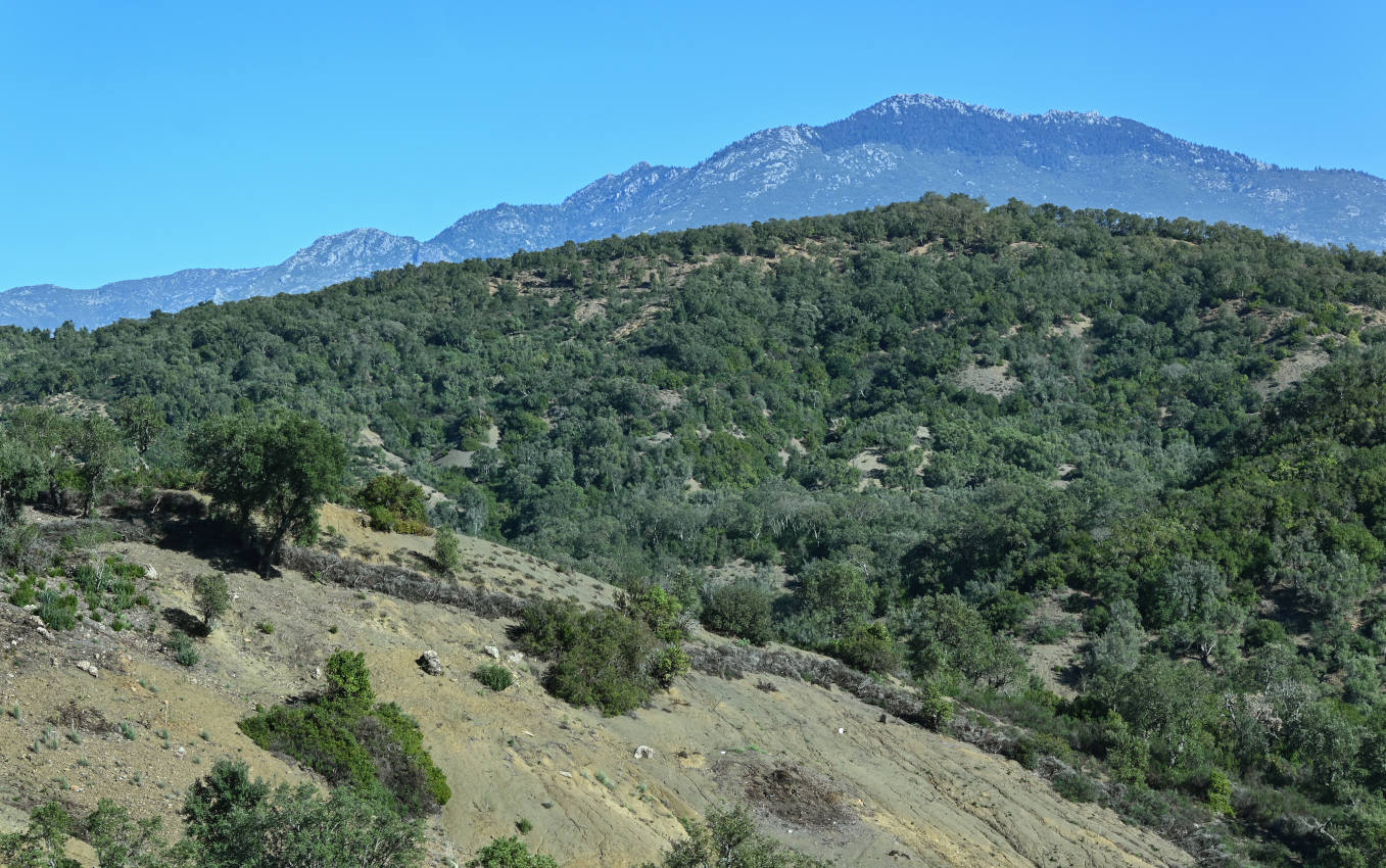 Шефшауэн, image of landscape/habitat.