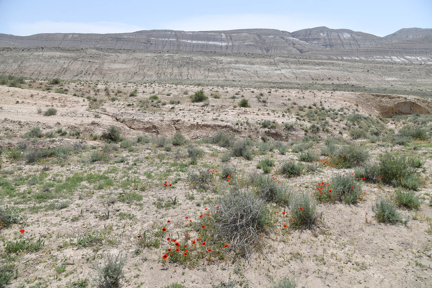 Окбель, image of landscape/habitat.