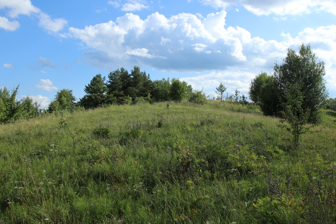 Маяк (Бизня), image of landscape/habitat.