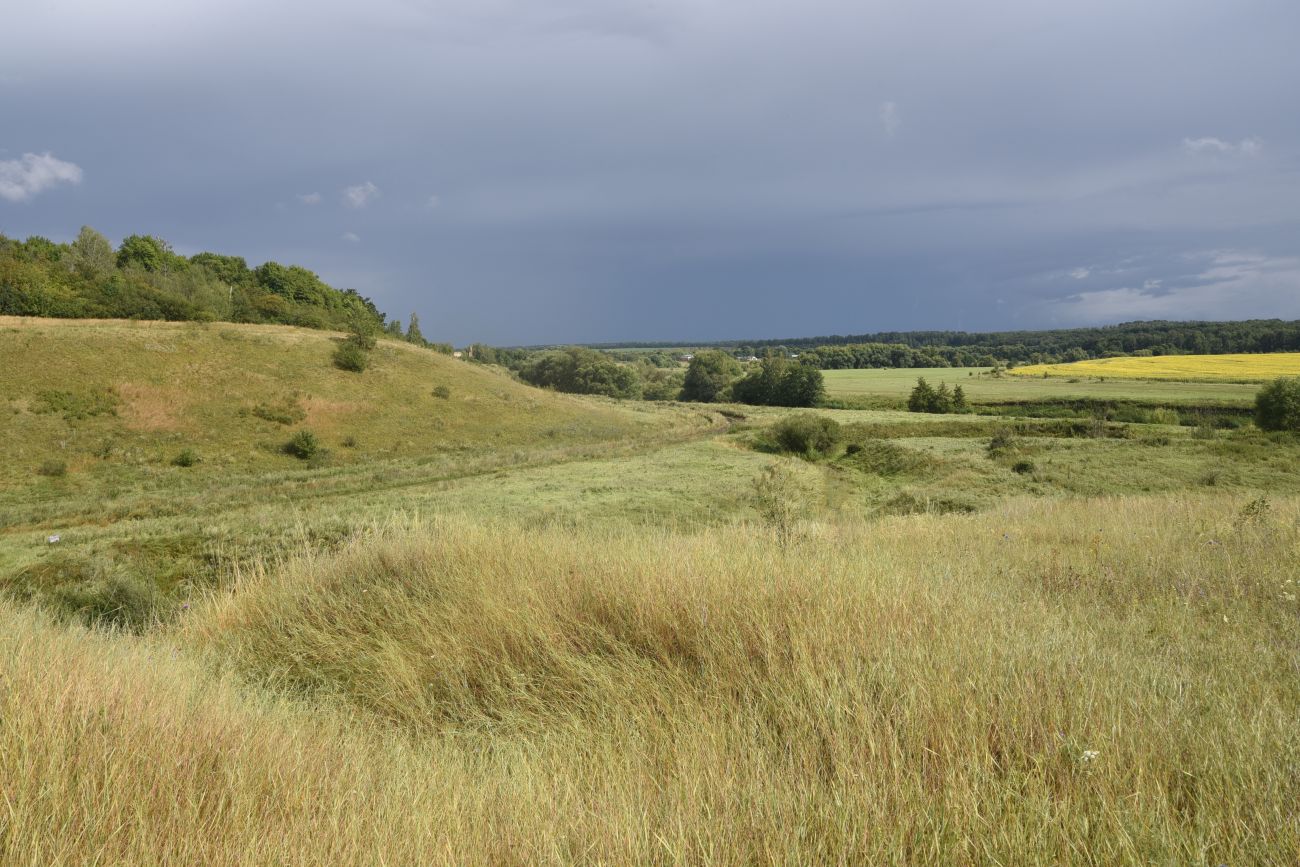 Балка Крутой Овраг, image of landscape/habitat.