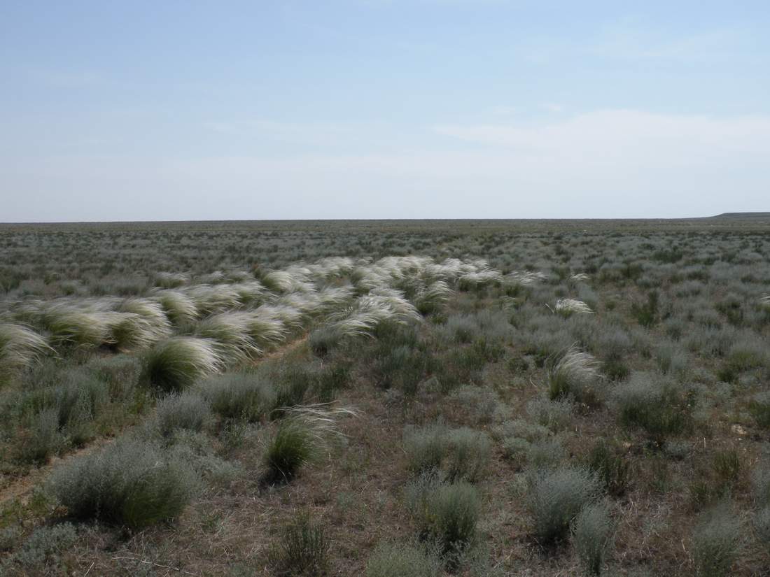 Чинк Донызтау, image of landscape/habitat.