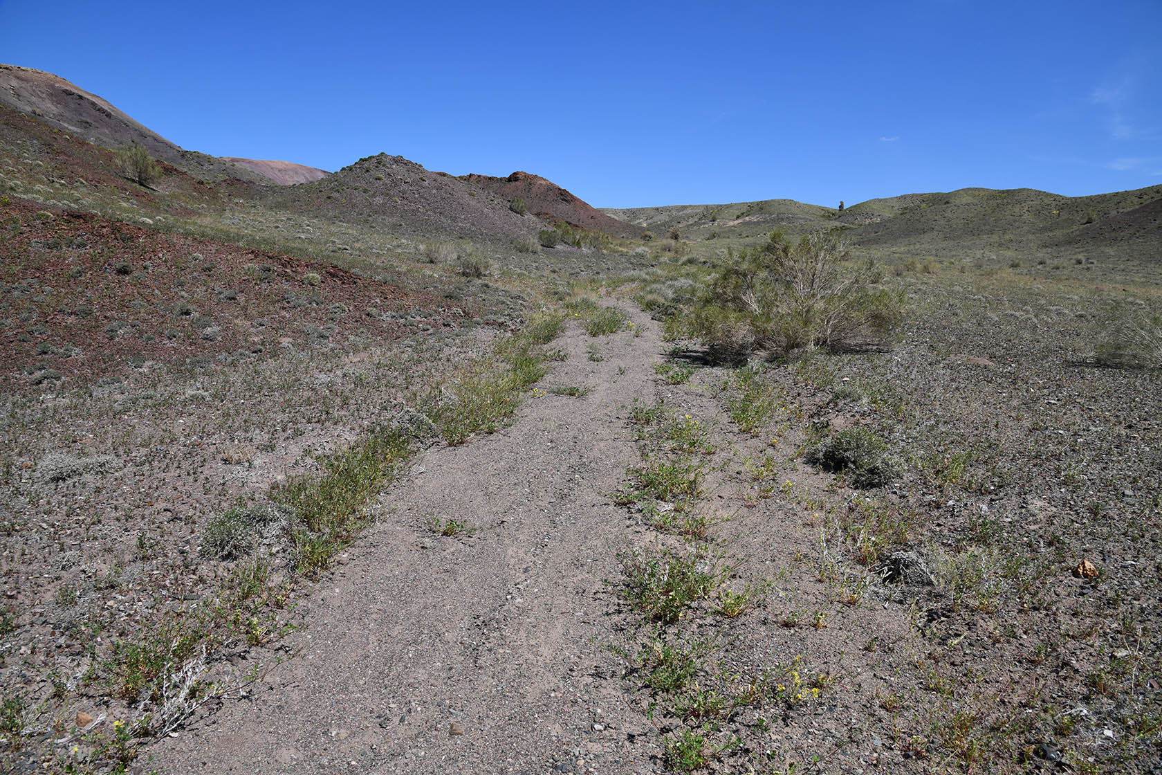 Горы Улькен-Богуты, image of landscape/habitat.