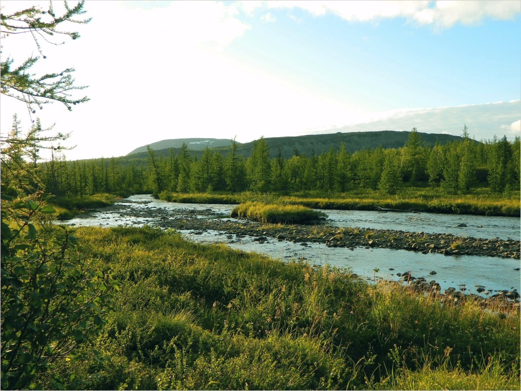 Лагортаю, image of landscape/habitat.