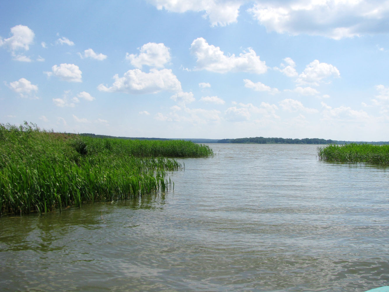 Черноречье, image of landscape/habitat.