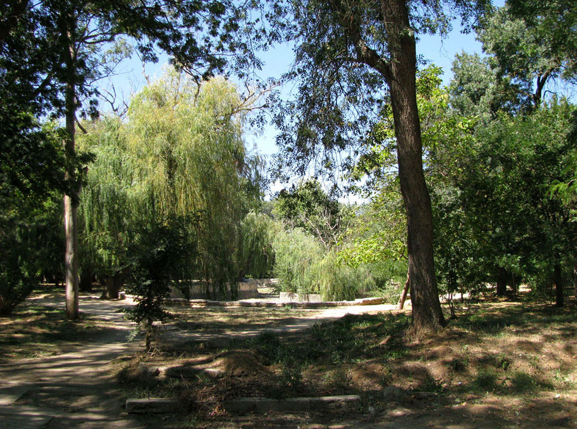 Крым, Саки, image of landscape/habitat.