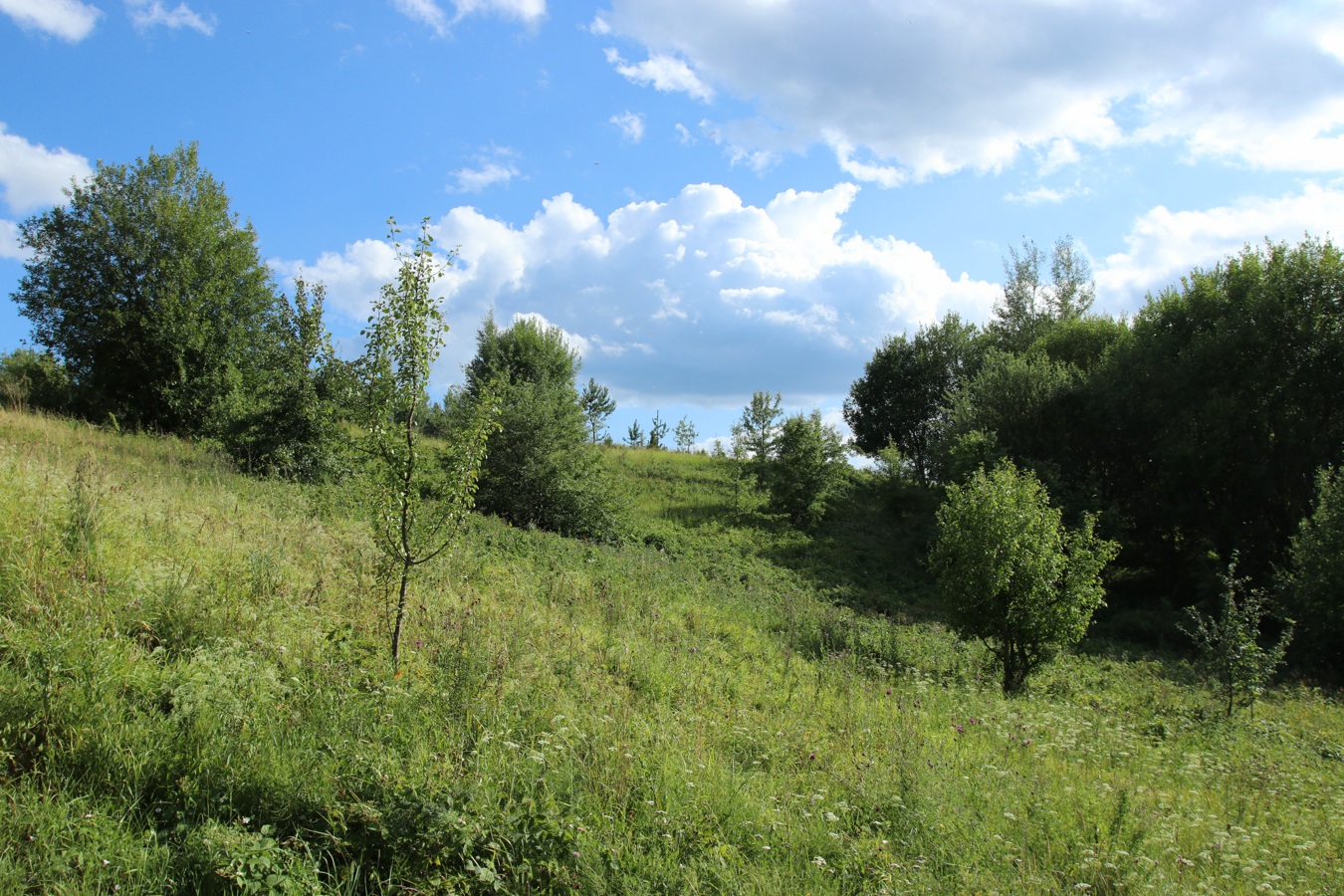 Маяк (Бизня), image of landscape/habitat.