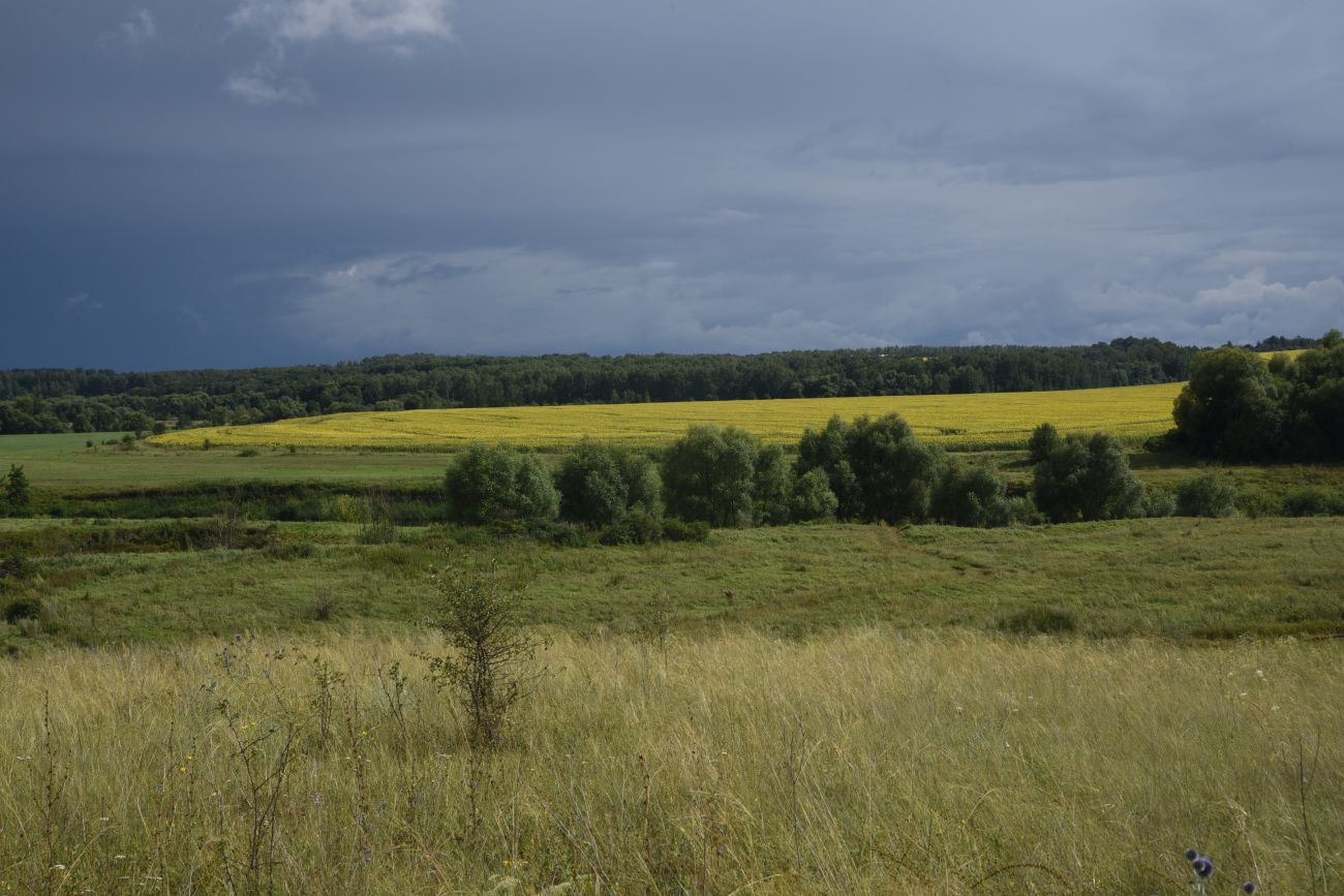 Балка Крутой Овраг, image of landscape/habitat.