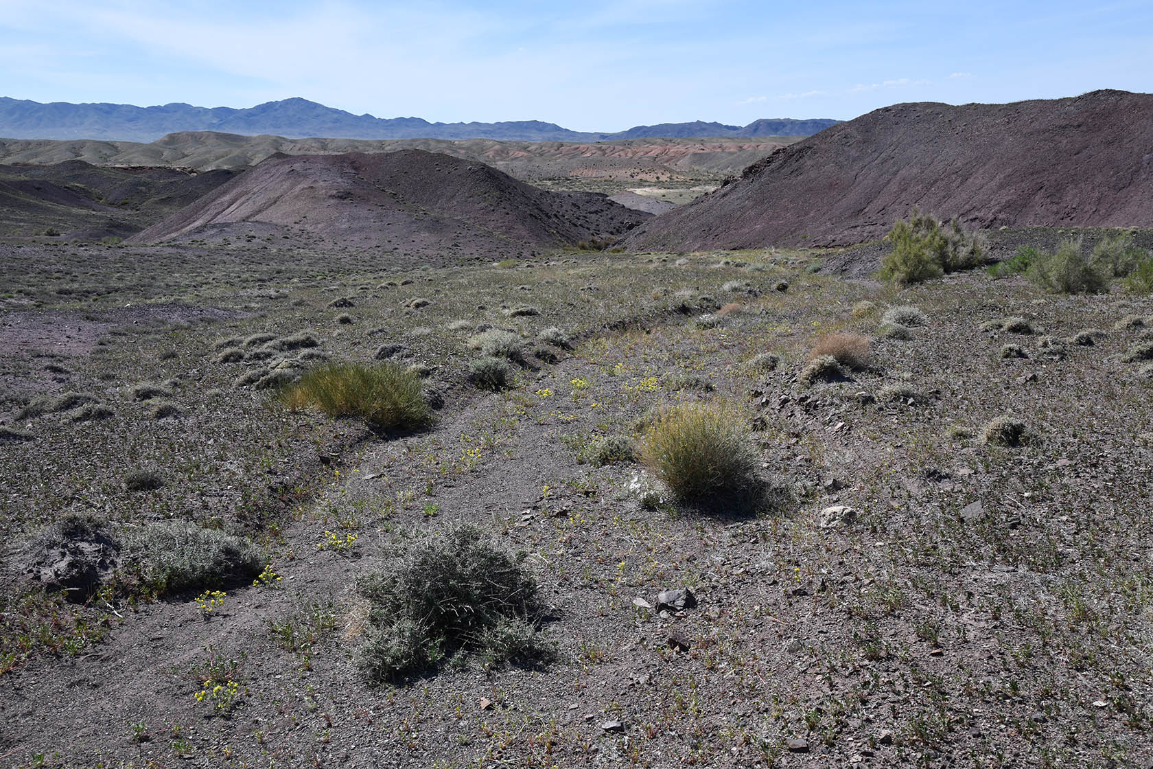 Горы Улькен-Богуты, image of landscape/habitat.