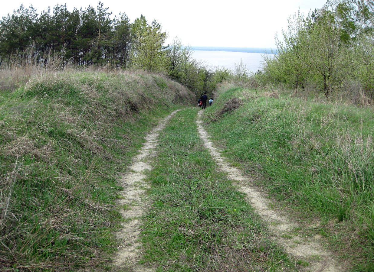 Трахтемиров, image of landscape/habitat.