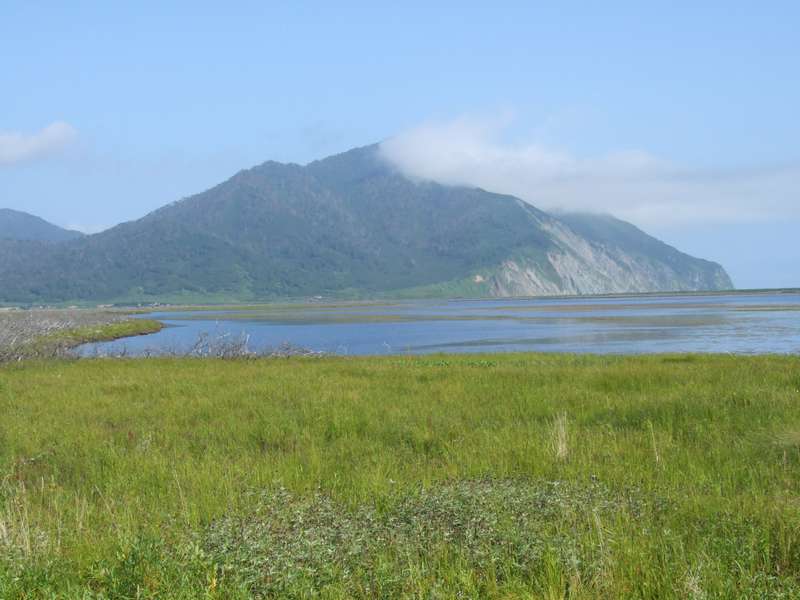 Кордон "Налычевский мыс", image of landscape/habitat.