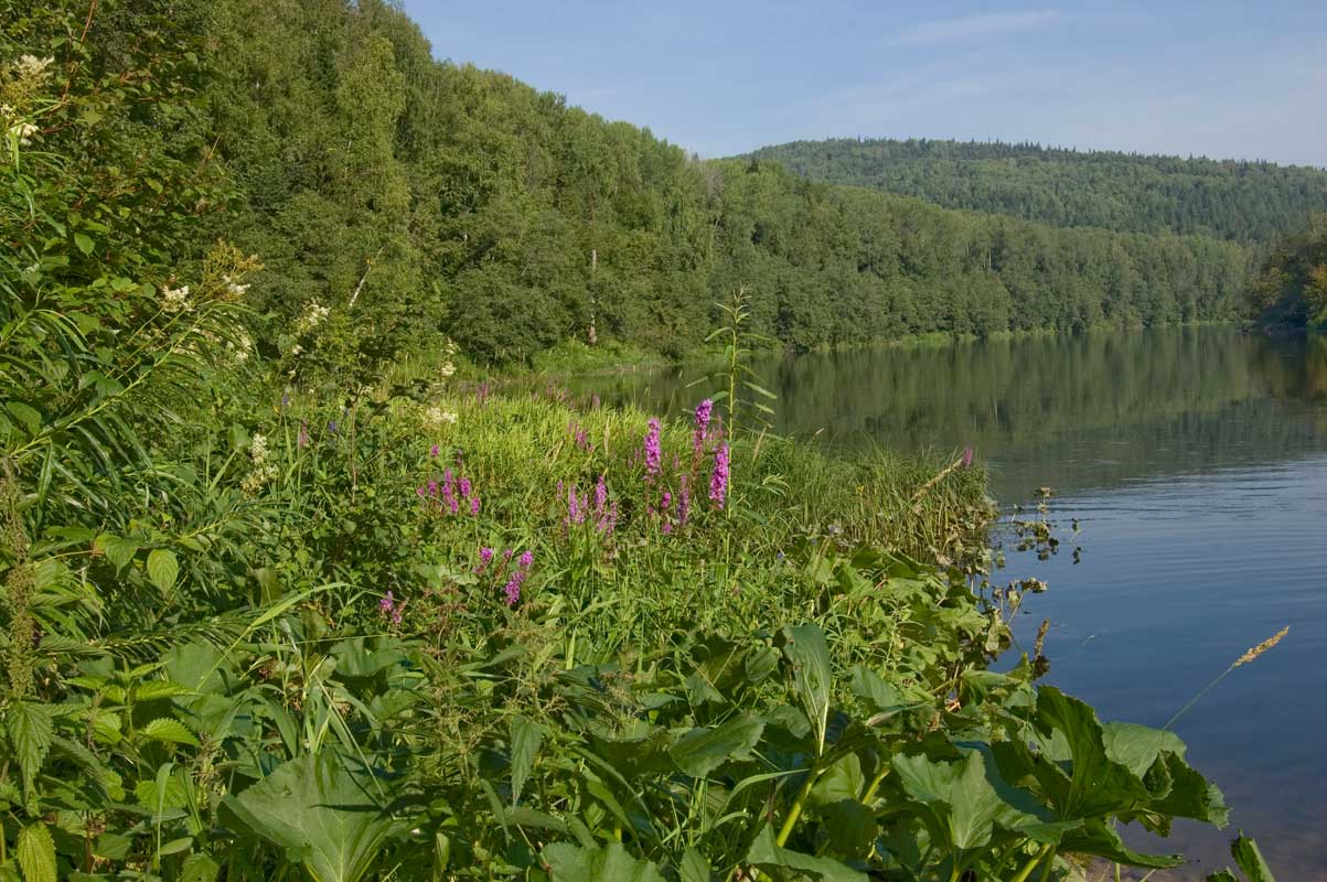 Окрестности деревни Зауфа, image of landscape/habitat.