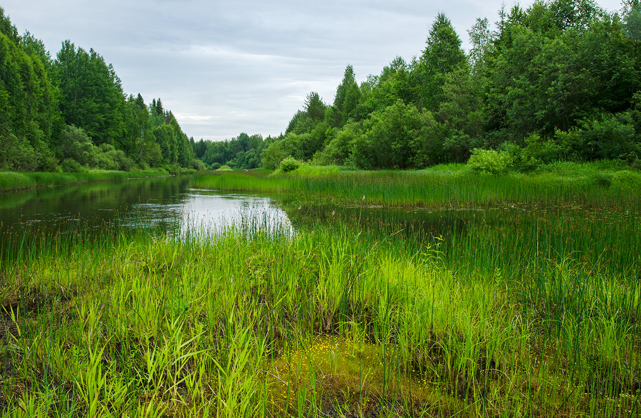 Усть-Янчер и окрестности, image of landscape/habitat.