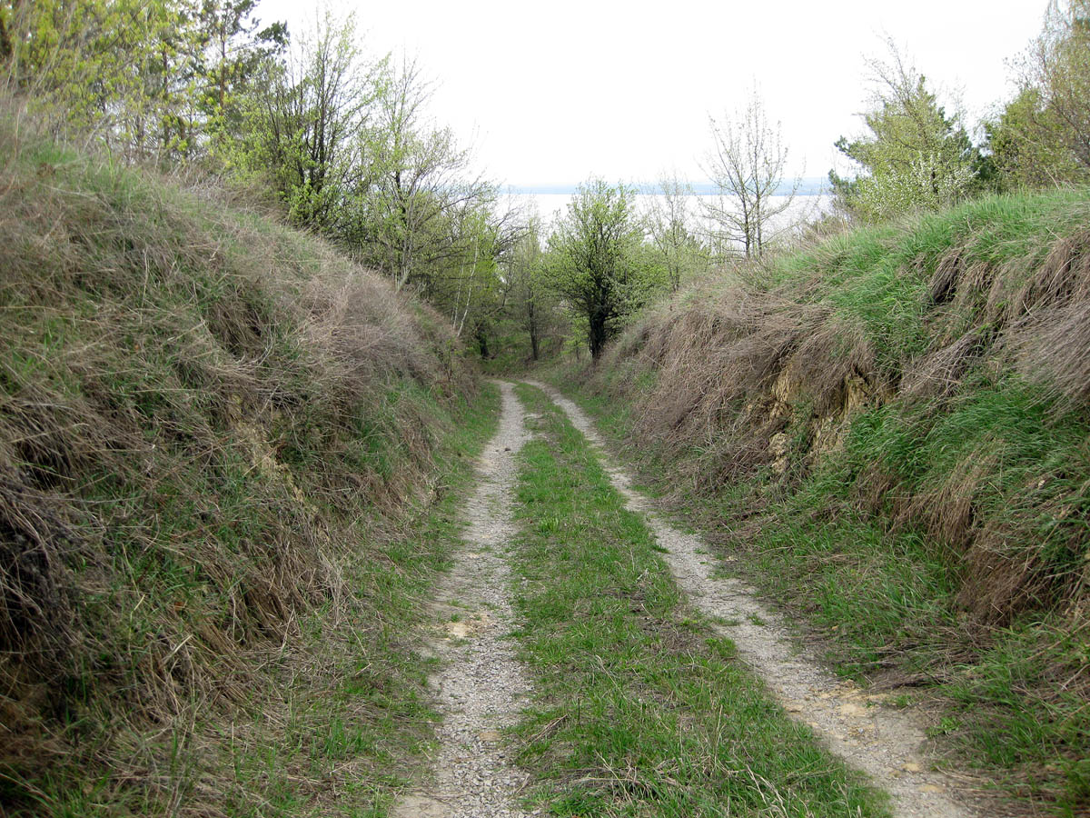 Трахтемиров, image of landscape/habitat.