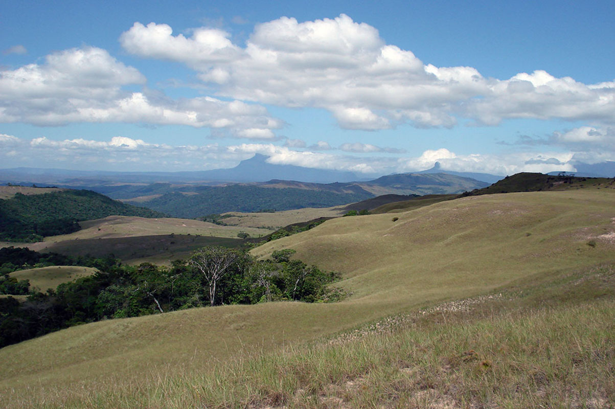 Рорайма, image of landscape/habitat.