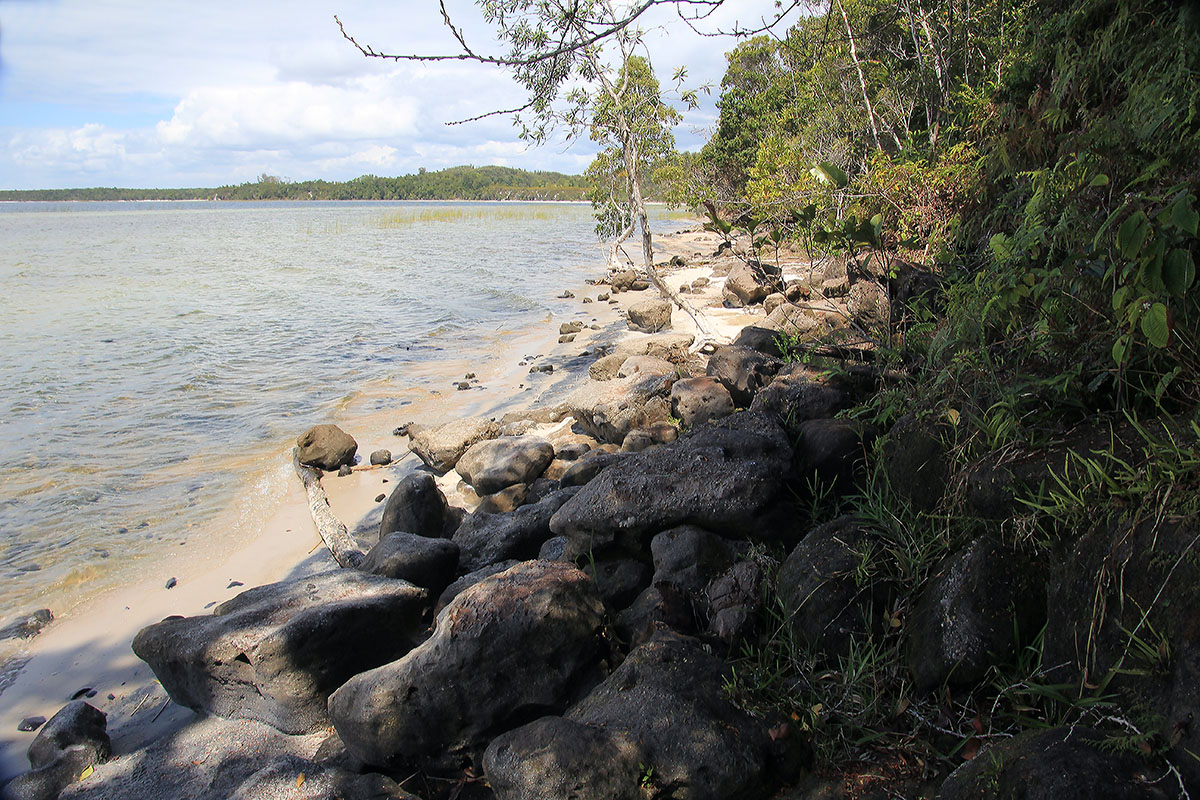 Пальмариум, image of landscape/habitat.